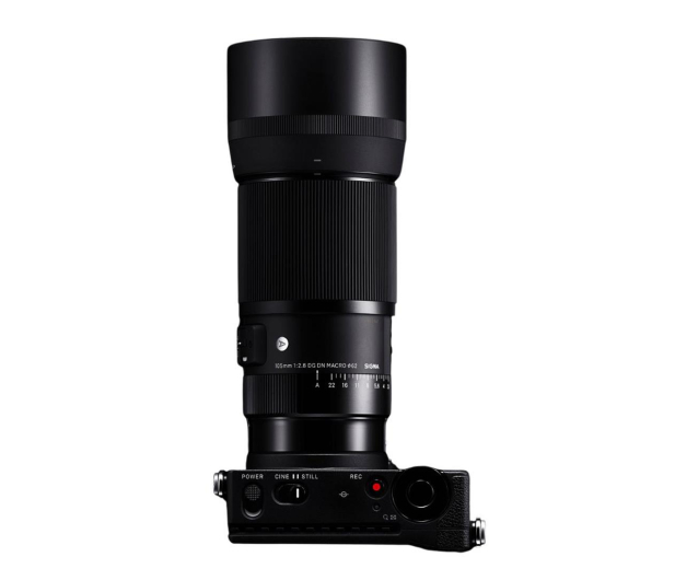 Sigma A 105mm f/2.8 DG DN MACRO L-mount - 1287165 - zdjęcie 4